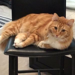 Helping me posh for the cold months!!!!